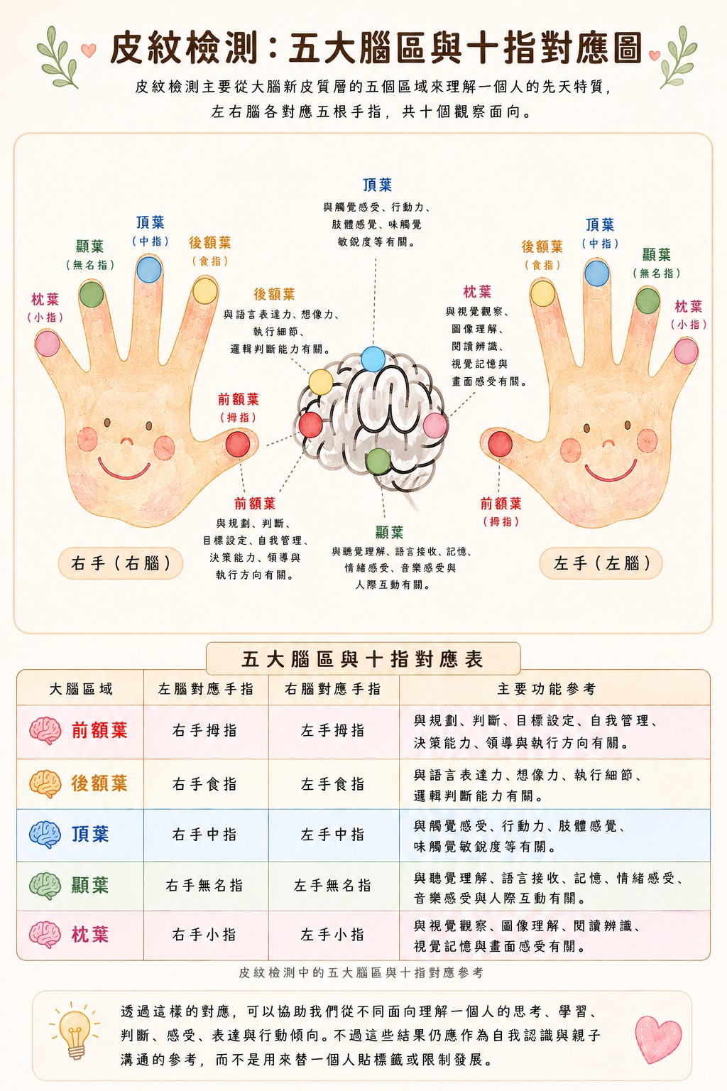 皮紋檢測對應大腦新皮質層與十個觀察面向