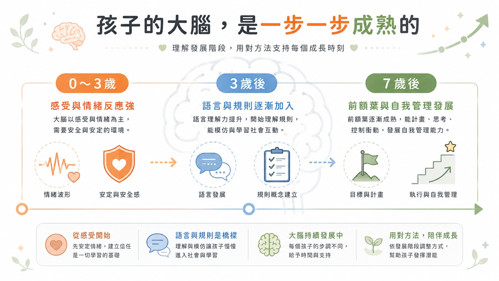 不同年齡孩子的大腦發展與皮紋檢測親子教養說明